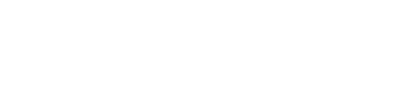 Logo SADIS100