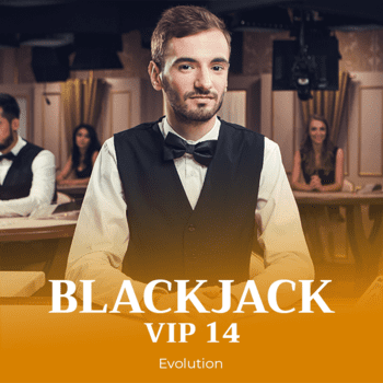 Blackjack VIP 14