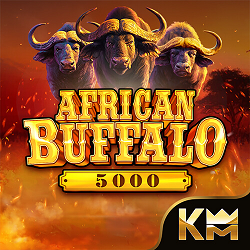 African Buffalo 5000
