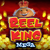 Reel King Mega